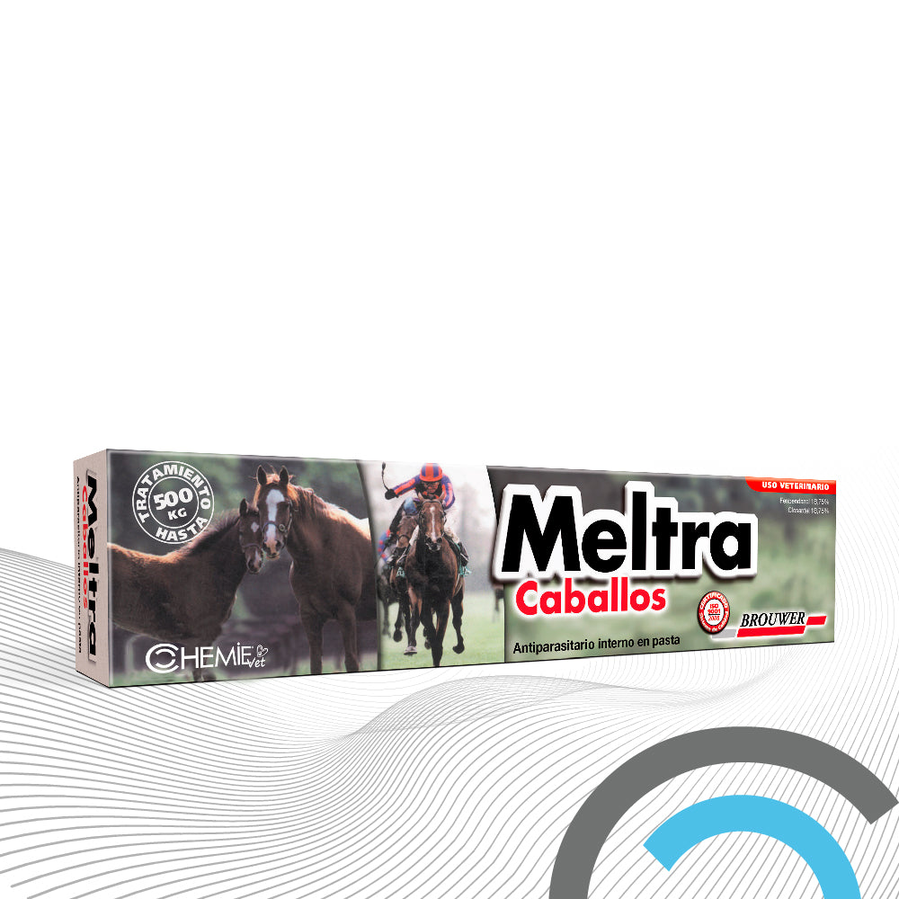 MELTRA EQUINOS