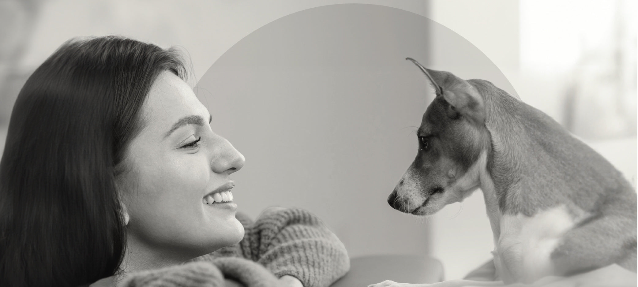 Hablemos de la salud ocular de nuestras mascotas
