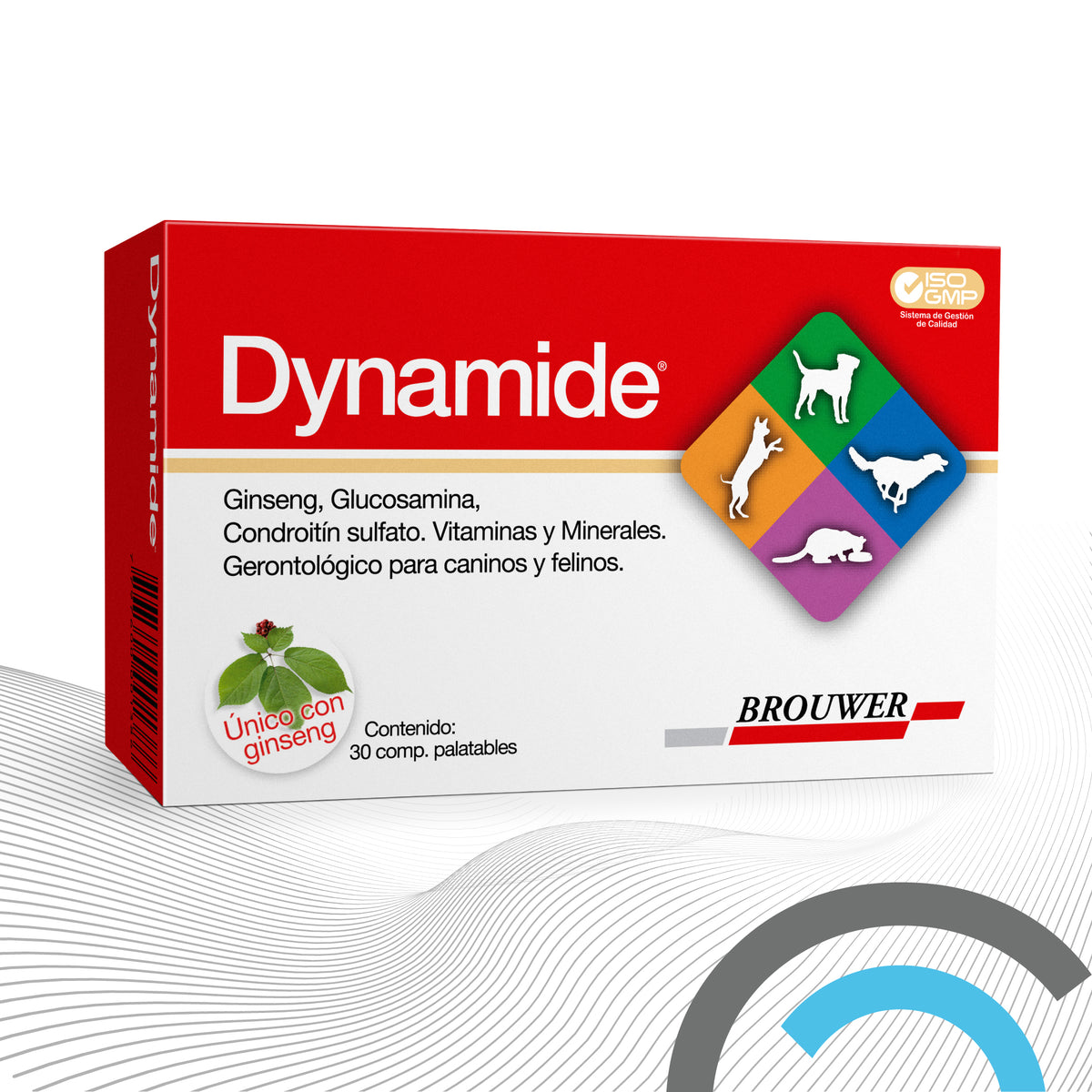 DYNAMIDE