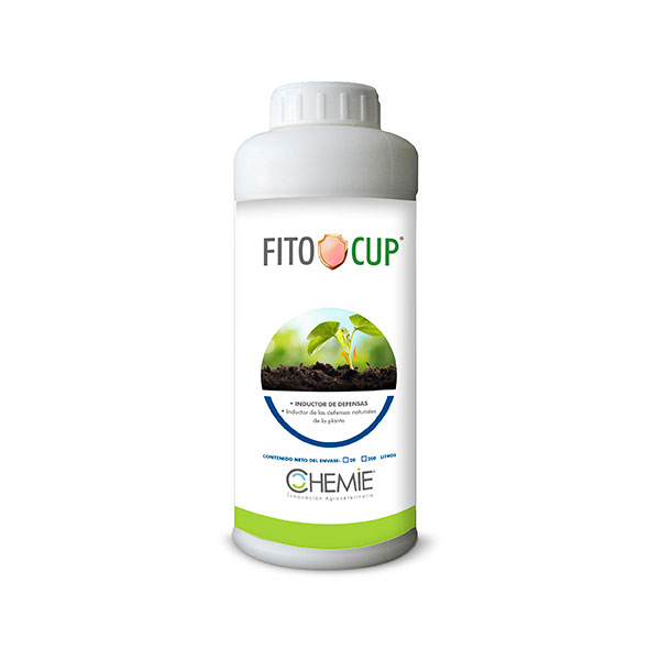 fito-cup